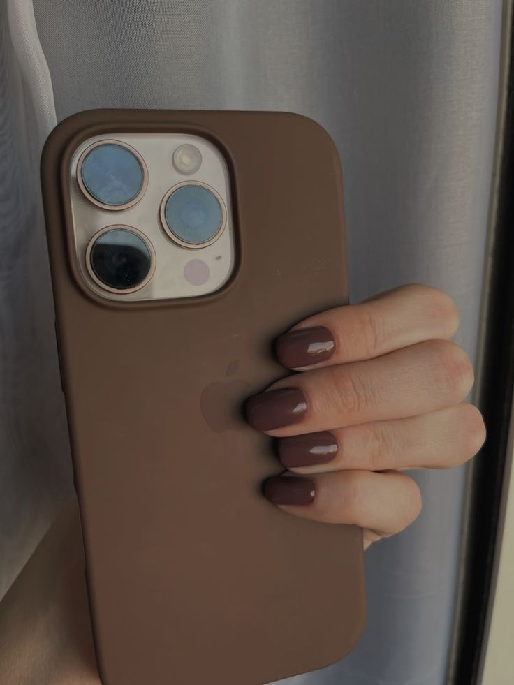 Desert Titanium Apple Logo Silicone Case 🤎